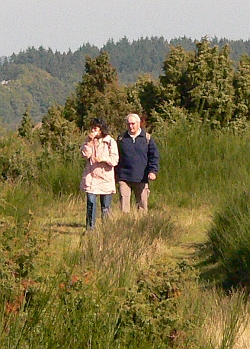 Wanderer in der Wacholderheide