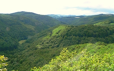 Kirchwald Nitztal