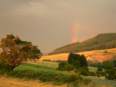 Landschaft bei Glees