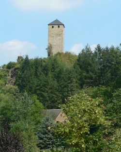 Burg Treis