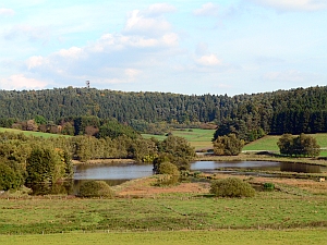 Weiher Boos Eifelturm