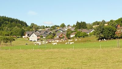 Engeln Eifel