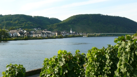 Löf an der Mosel