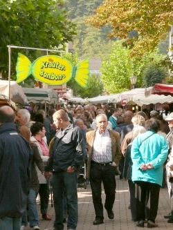 Bad Breisig Zwiebelmarkt