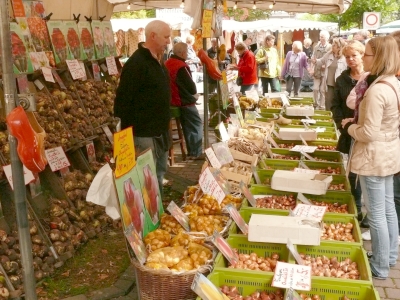 Bad Breisig Zwiebelmarkt