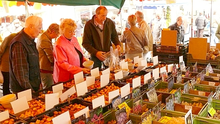 Bad Breisig Zwiebelmarkt