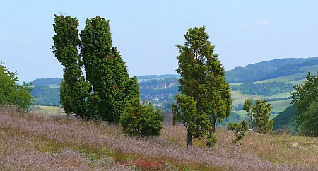 Wabelsberg Langscheid