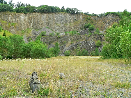 Hochbermel Biotop