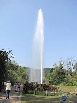 Geysir Andernach