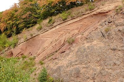 Gleitfalte Dachsbusch