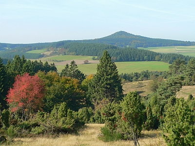 Hohe Acht Wacholderheide