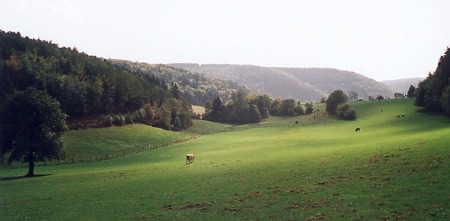 bei Lederbach