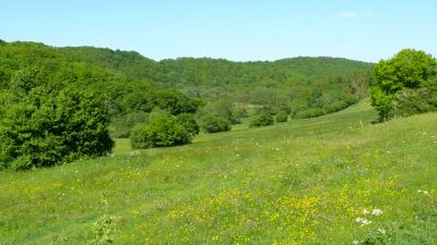 Elzbachtal bei Bermel