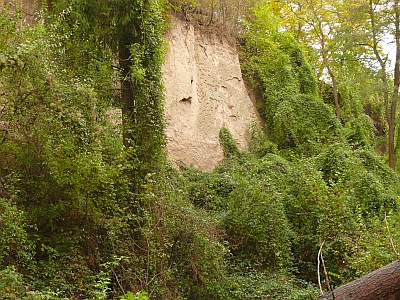 Trasswand Wolfsschlucht