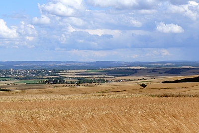 Maifeld