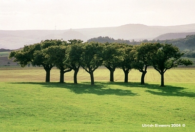 Toskana in der Eifel