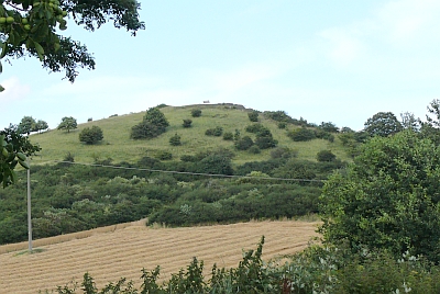 Bellerberg Ettringen