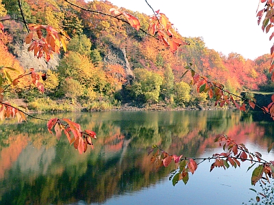 Königssee Oberdürenbach