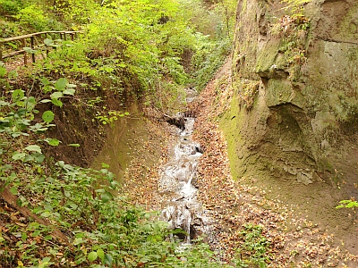 Wolfsschlucht Toenisstein