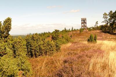 Wacholderheide Weiselstein