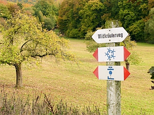 Schirmau Wildkraeuterweg