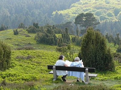 Schirmau am Weiselstein